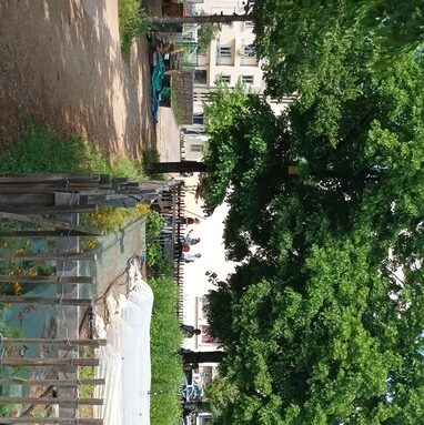 Photo microferme.jpg